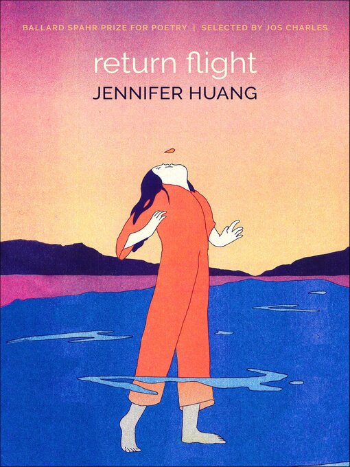Cover image for Return Flight